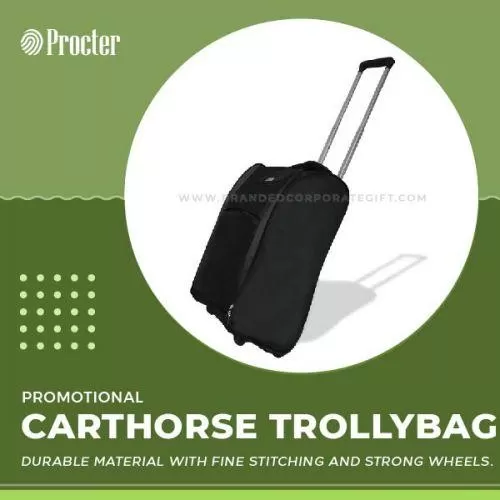Carthorse Business Travel Trolly Bag CH-TRB-02 (Mix Color