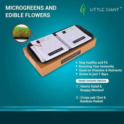 LG2 Microgreen Salad Kit