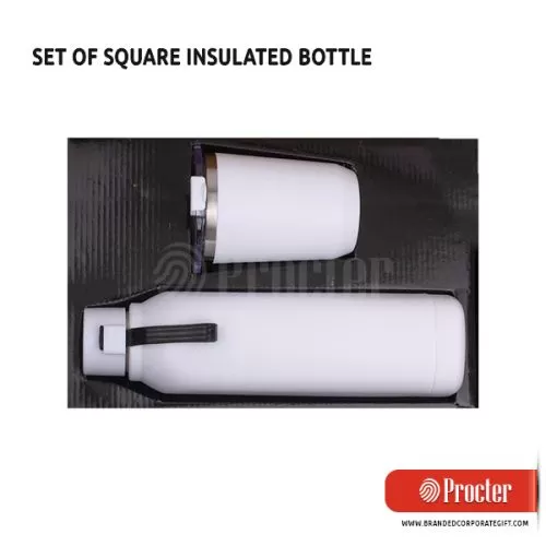 Set Of SQUARE Insulated Bottle With Foggy SS Mug Q86