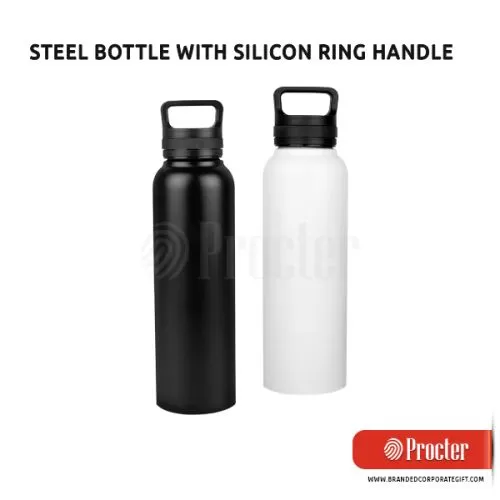 Steel Bottle With Silicon Ring Handle H239