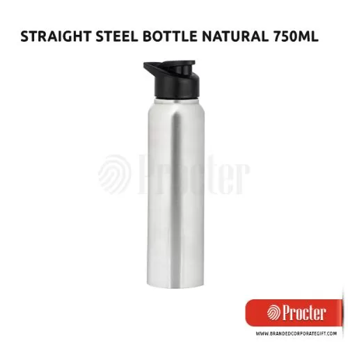 STRAIGHT Steel Bottle Natural H202