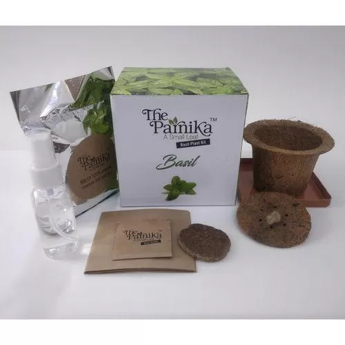 The Parnika Basil Plantation Kit