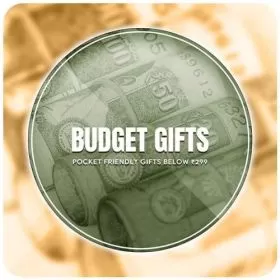 Budget Gifts Price Below Rs 249