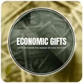 Economy Gifts Price above 250 and below 500