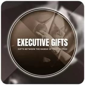 Executive Gifts Price above 500 and below 1000 for Corporate Gifting