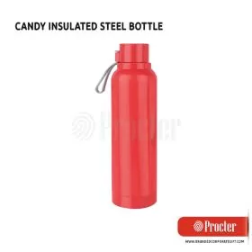 CANDY Insulated Steel Bottle H248