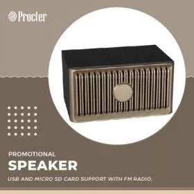 Classic Wooden Rhythm Speaker