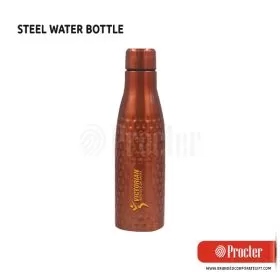 Stainless Steel Water Bottle H155