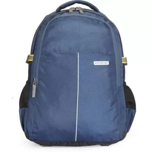 Aristocrat Maestro 30 L Laptop Backpack